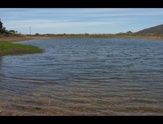 FARM FOR SALE IN PIKETBERG RURAL